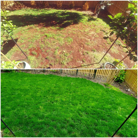 Customer lawn result