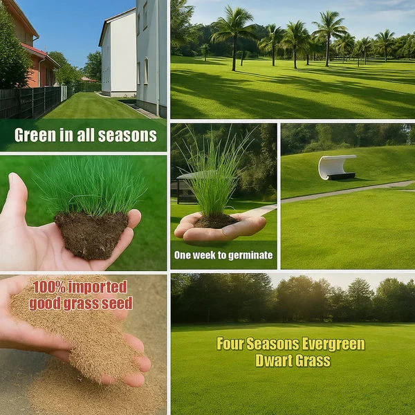 ✨ CORE BENEFITS: ONE LAWN, FOUR SEASONS OF WORRY-FREE GREEN